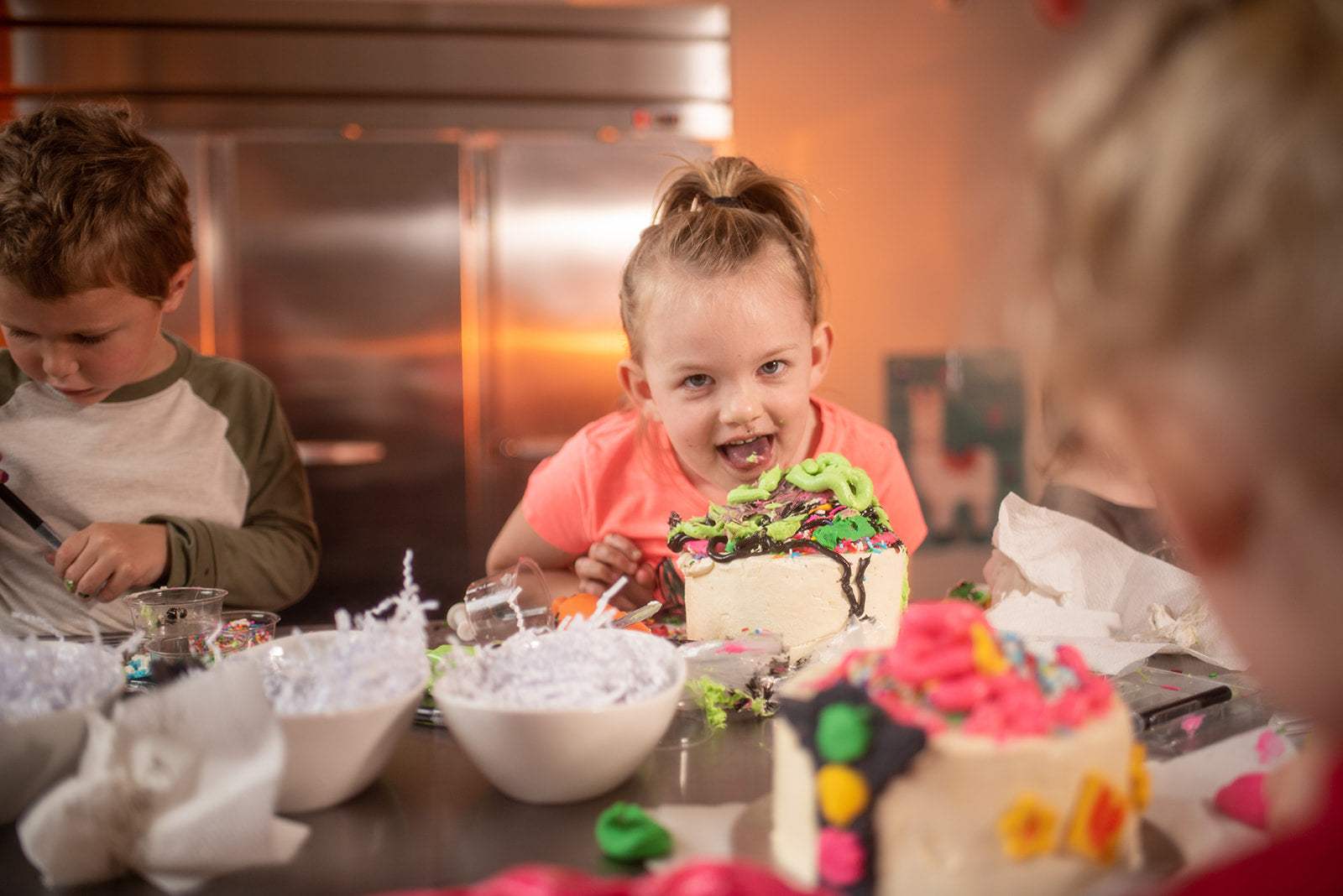 To Go Cake/Cupcake Decorating Party Cake Hoopla