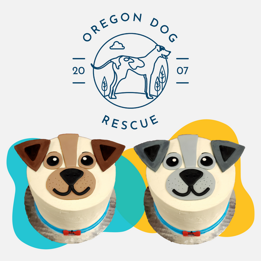 Dog Cake-Decorating Workshop & Oregon Dog Rescue Fundraiser
